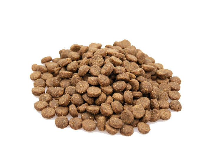 Premium Puppy Large Breed - 10 kg