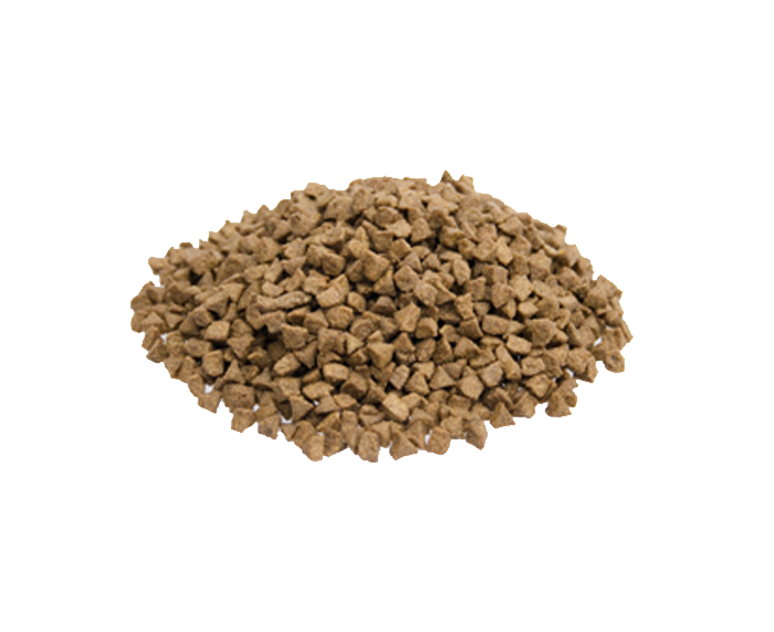 Premium Kat Indoor 10 kg