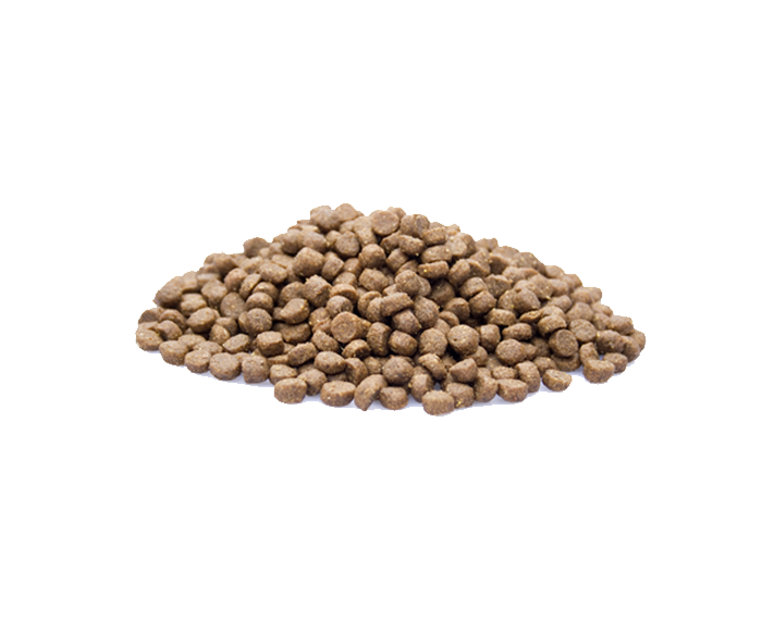 Premium Kat Senior 2 kg