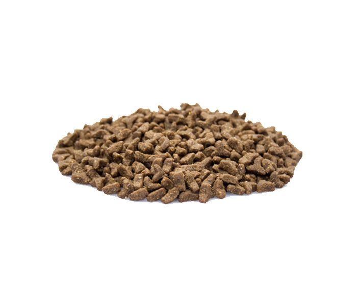 Premium Kat 2 kg